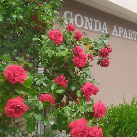 Gonda Apartments Hradec Kralove Exterior photo